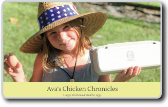 Website wth a blog