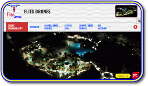 FD-Tile Flies Drones